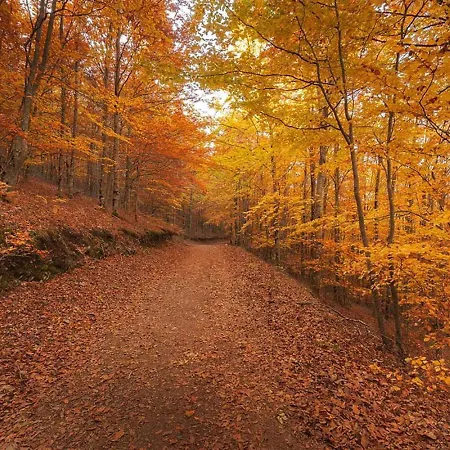 Casa De Sao Lourenco - Burel Panorama - Member Of Relais & Chateaux