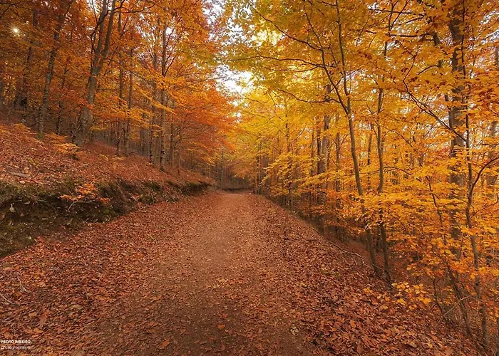 Casa De São Lourenço - Burel Panorama - Member Of Design